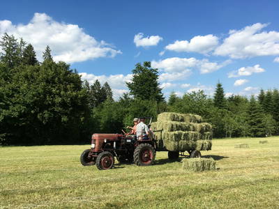 Bild 14 aus  Ferien-Landhaus-Isolde