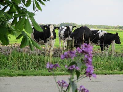 Bild 8 aus  Ferienhof Hohenhenne