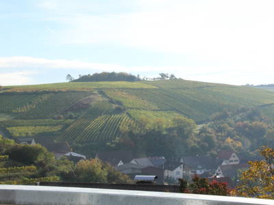 Bild 16 aus  Weingut & Weinhotel Benz