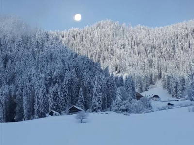 Bild 18 aus  Lechnerhof