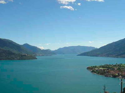 Bild 24 aus  Casarina