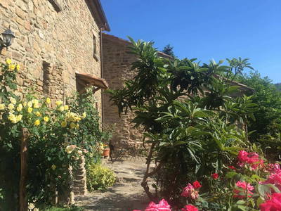 Bild 11 aus  Casa Bivignano