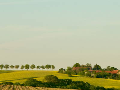 Bild 21 aus  Luminohof