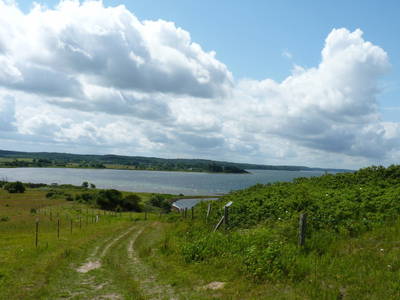 Bild 13 aus  Ziegeleivilla