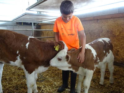 Bild 19 aus  Schötzerhof