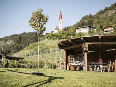 Bild 3 aus  Bachmannhof