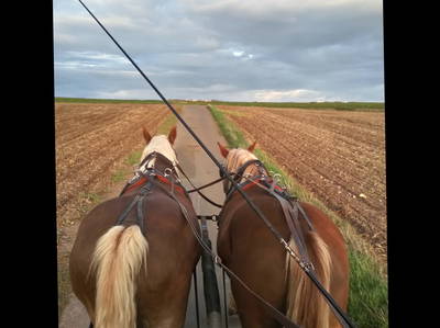 Bild 17 aus  Lautersheimer Gutshof