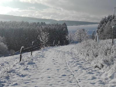 Bild 13 aus  Naurather Ferienhof