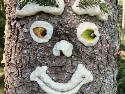 Bild 44 aus  Ferien am Talhof