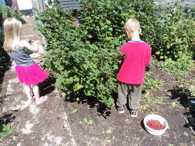 Bild 13 aus  Fredensminde Ferie