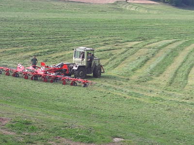 Bild 22 aus  Erholung - Natur pur - Urlaub auf dem Loyerhof