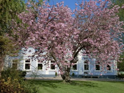 Bild 4 aus  Ferienhof Rauert