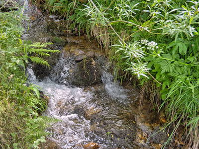 Bild 20 aus  Bauernhof Rützler