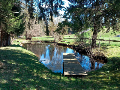 Bild 25 aus  Reicharthof