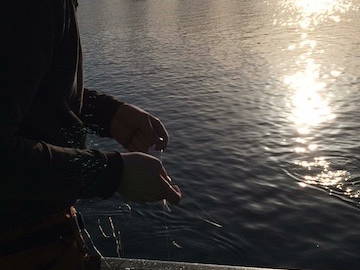 Bild 21 aus  Alter Bahnhof Vaale