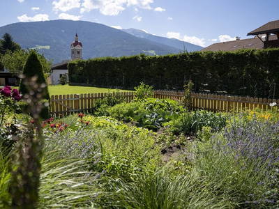 Bild 20 aus  Uetzenhof