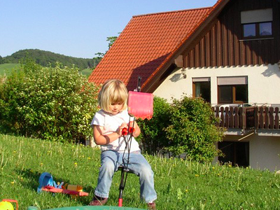 Ferienhof Dingeldey in Reichelsheim (Odenwald) Unterkunft buchen
