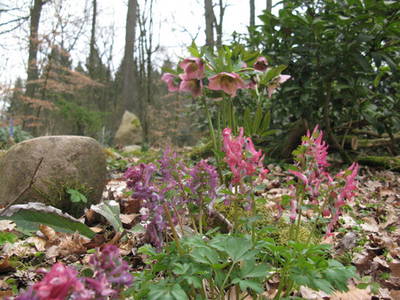 Bild 9 aus  Dreweshof Meßhausen - Familien und Gruppen - Urlaub in der Lüneburger Heide