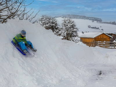 Bild 31 aus  An Webers Stoag