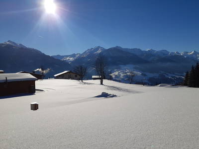Bild 23 aus  Familienparadies Oberhasenberghof