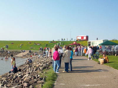 Bild 26 aus  Ferienhof Op de Warft