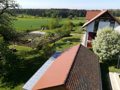 Bild 35 aus  Bio-Obstgut Oberhof