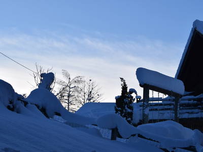 Bild 11 aus  Marschalkhof    Urlaub auf dem Bauernhof