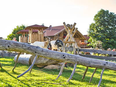 Bild 30 aus  Wenighof