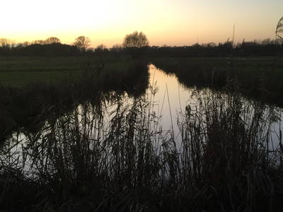 Einer der Entwässerungsgräben am Schloß Paretz - Wandel im Licht