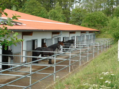 Bild 17 aus  Mühlberghof