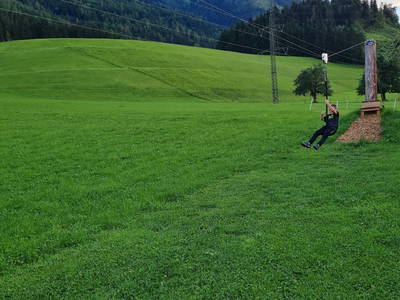 Bild 39 aus  Taxengut