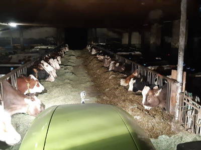 Bild 126 aus  Allgäu Bergferienhof