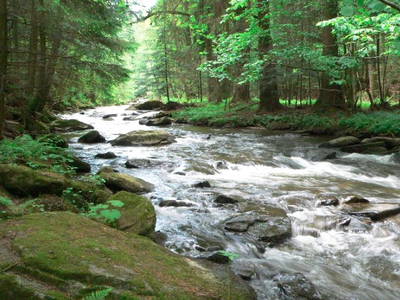 Bild 17 aus  BioFerienhof Höfler