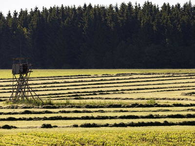 Bild 40 aus  Allgäu Bergferienhof