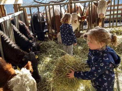 Bild 26 aus  Weberhof - Biobauernhof