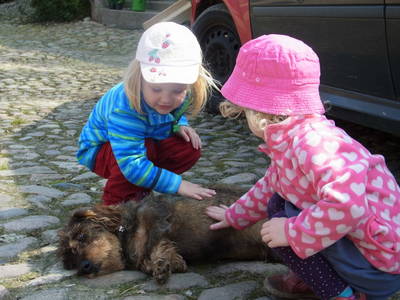 Bild 45 aus  Baustrup Hof