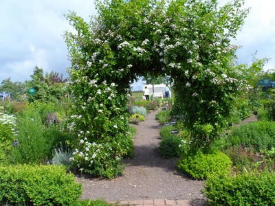 Bild 13 aus  Ferienhof-Roller