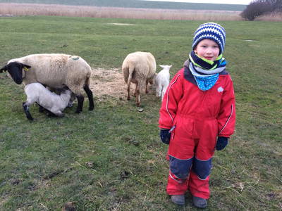 Bild 12 aus  Friesenhof