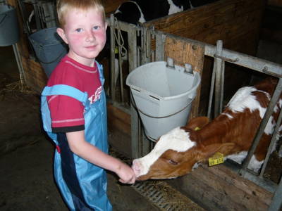 Bild 18 aus  Ferienhof  am Hennesee