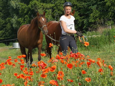 Bild 19 aus  Landgut Schönwalde