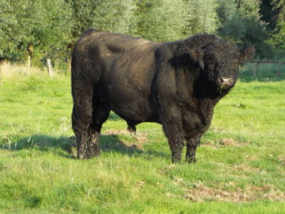 Bild 7 aus  Biolandhof-von Agris