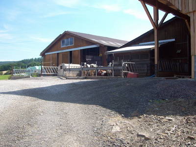 Bild 10 aus  Bauernhof Büchsenschütz