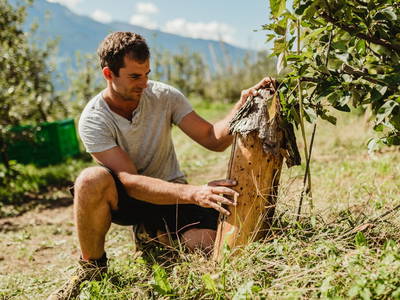 Bild 43 aus  Pröfinghof