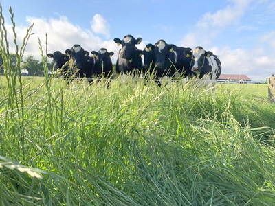 Bild 2 aus  Küstenhof Oldewurtel