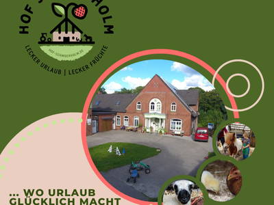 Bild 2 aus  Hof  Schmörholm Urlaubs- und Früchtehof