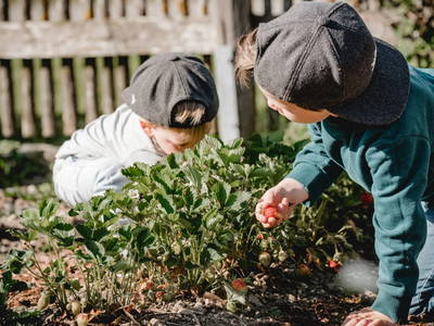 Bild 17 aus  Kimpelehof