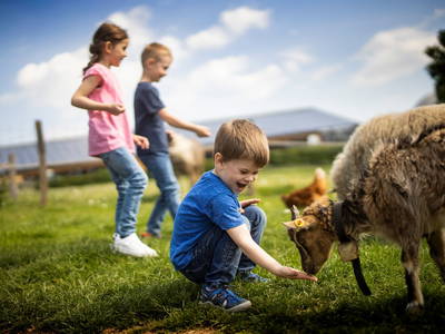 Bild 73 aus  LandSelection Ferienhof Zur Hasenkammer