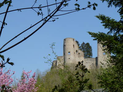 Bild 21 aus  Feriendorf Reinskopf