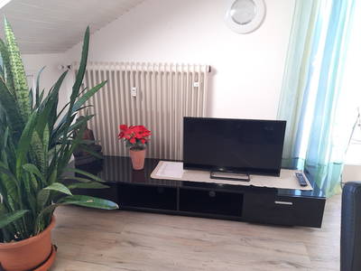 Bild 13 aus  Ferienwohnung Pickenhan