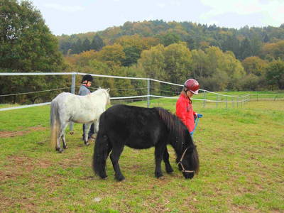 Bild 14 aus  Ferienhäuser Bellana